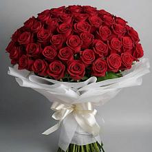 Букет 101 Красная роза Блэк Мэджик в Ловцы