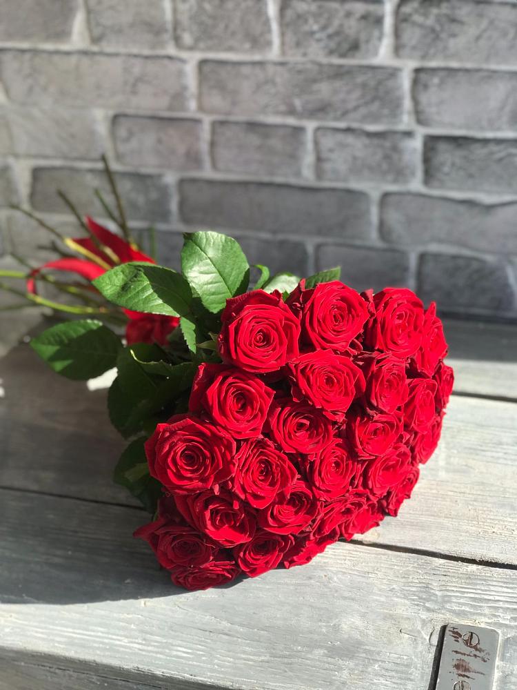 Букет Красные розы Фридом в Ловцы