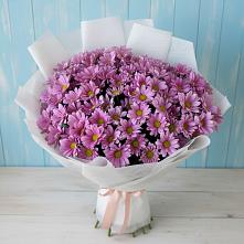 Букет цветов из:  Хризантемы в Ловцы