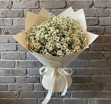 Букет цветов из:  Ромашки в Ловцы