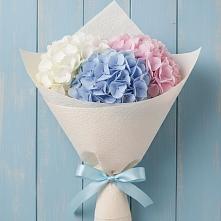 Букет цветов из:  Гортензия в Ловцы