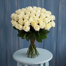 Букет 51 Белая роза Эдлесс Лав #REPLACE_PRED# Ловцы