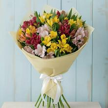 Букет цветов из:  Альстромерии в Ловцы