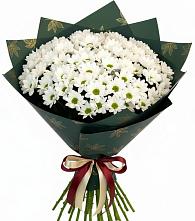 Букет цветов из:  Хризантемы в Ловцы