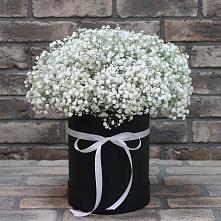 Цветочная композиция из Гипсофила в шляпной коробке в Ловцы