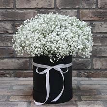 Цветочная композиция из Гипсофила в шляпной коробке в Ловцы