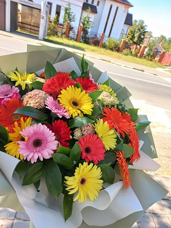 Букет цветов из: Герберы в Ловцы